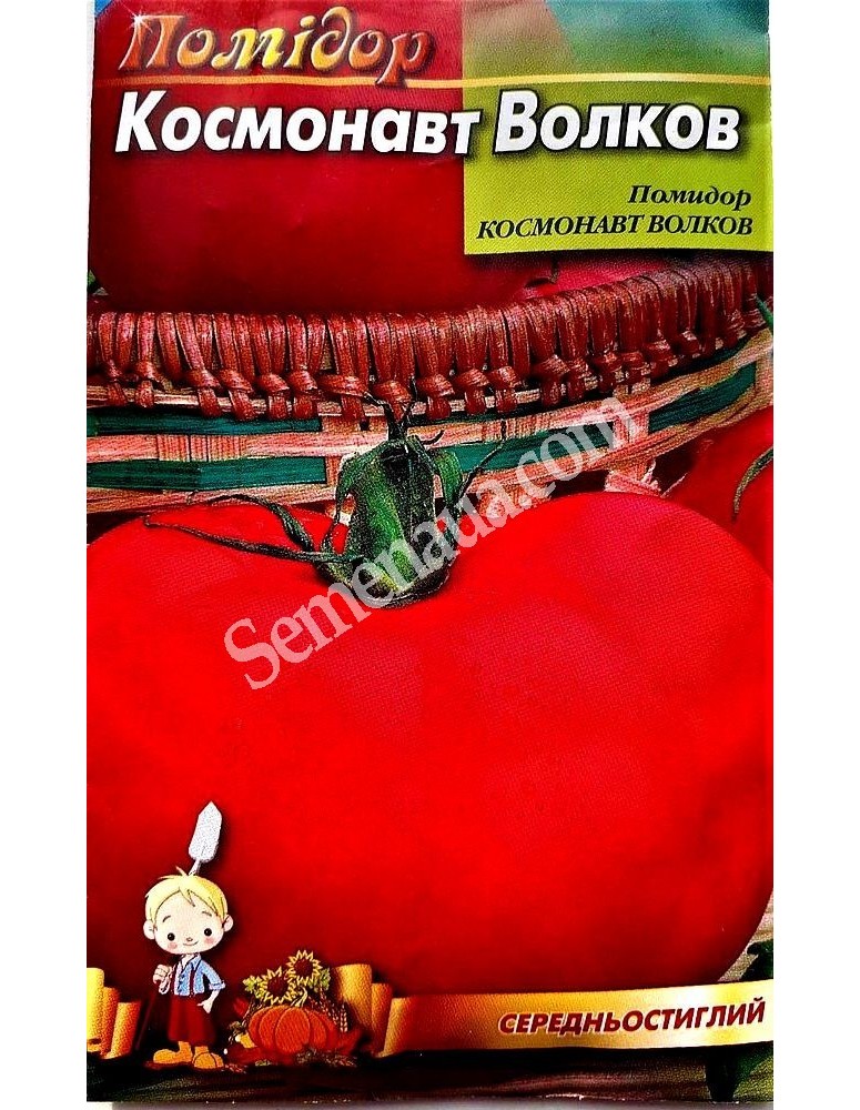 Помідор Космонавт Волков