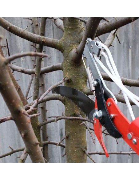 Надійний висотний сучкоріз, штанговий з пилкою. Оригінал