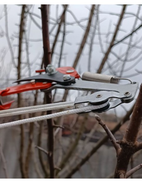 Надійний висотний сучкоріз, штанговий з пилкою. Оригінал