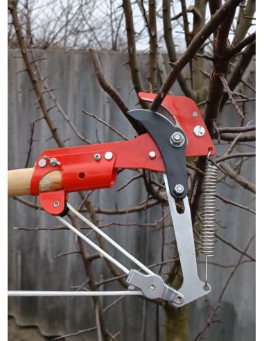 Надійний висотний сучкоріз, штанговий з пилкою. Оригінал