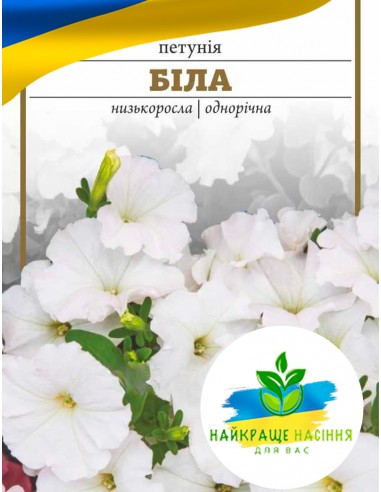 Квіти Петунія Біла