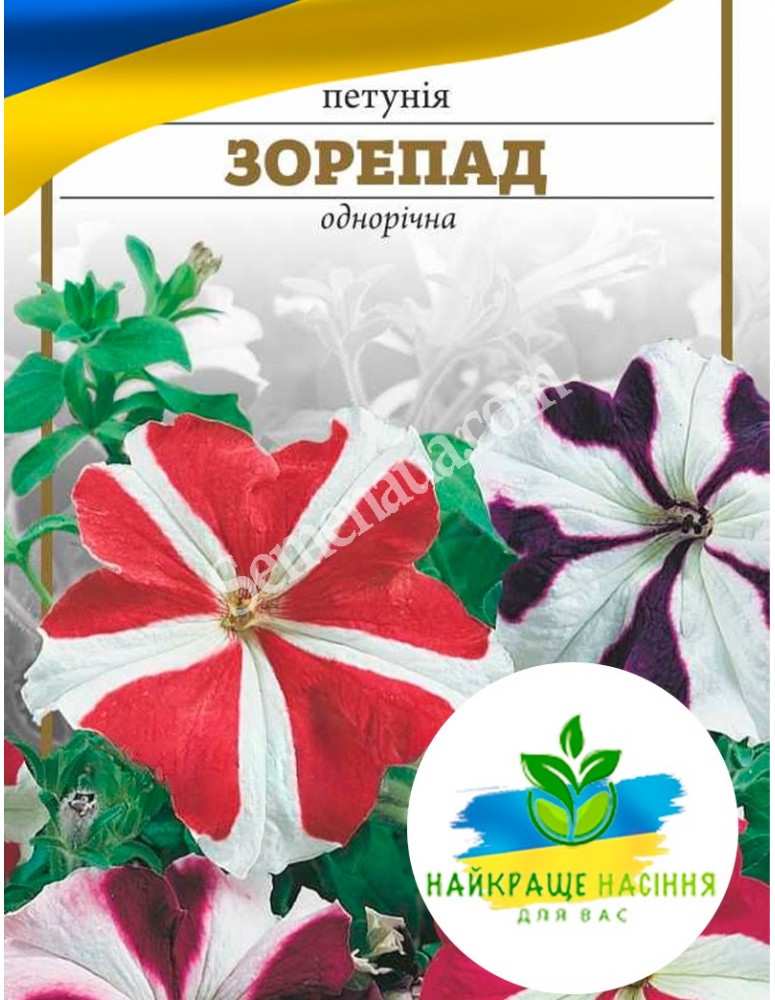 Квіти Петунія Зорепад