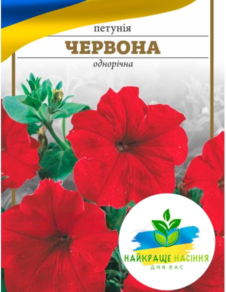 Квіти Петунія Червона