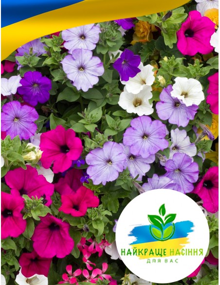 Квіти Петунія Балконна суміш забарвлень