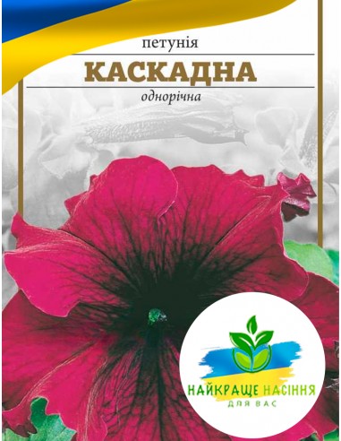Квіти Петунія Каскадна