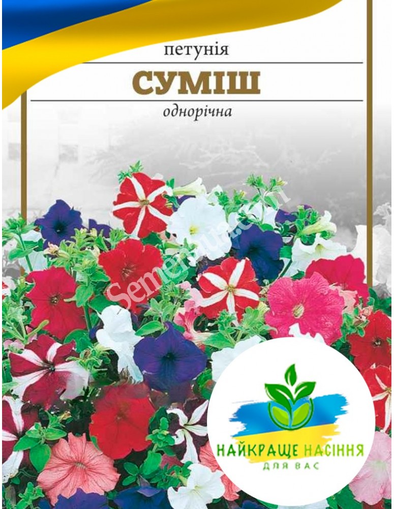 Квіти Петунія Суміш