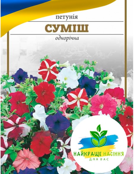 Квіти Петунія Суміш