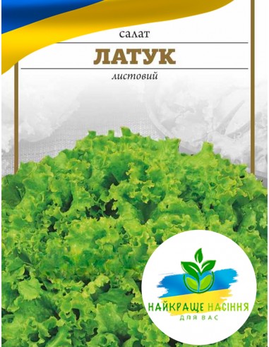 Салат Латук