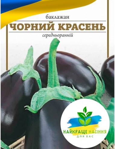 Баклажан Чорний красень