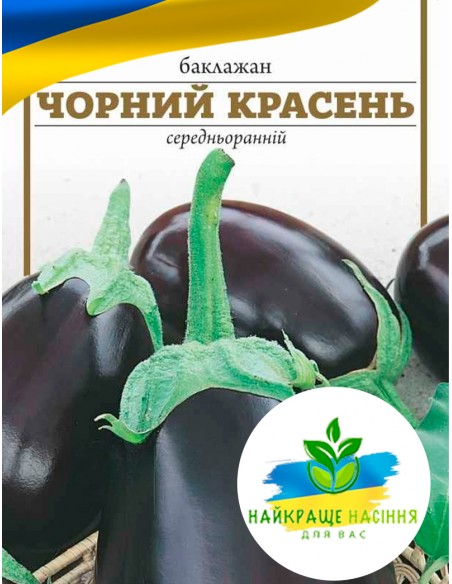 Баклажан Чорний красень