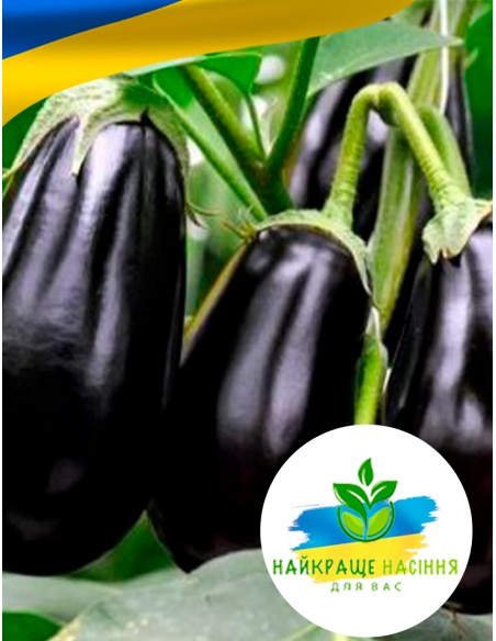 Баклажан Чорний красень