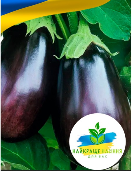 Баклажан Чорний красень