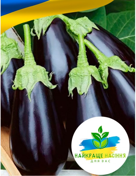Баклажан Чорний діамант