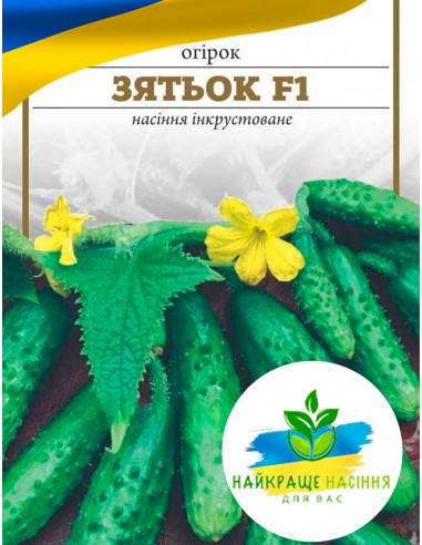 Огірок Зятьок F1