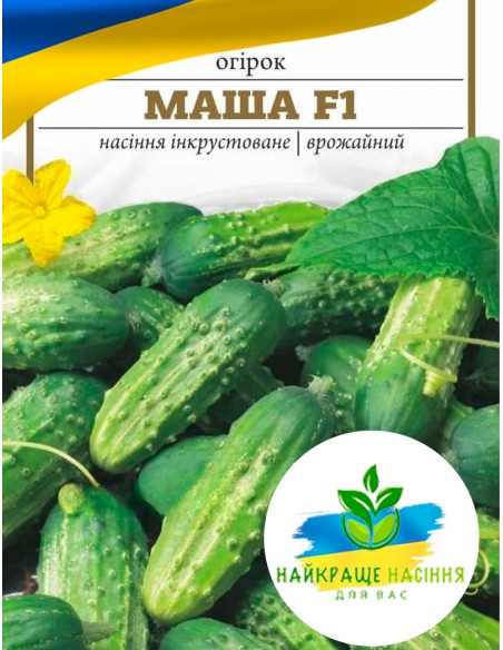 Огірок Маша F1