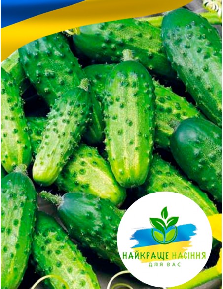 Огірок Бригадний F1