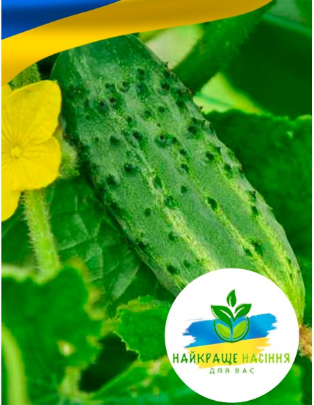 Огірок Бригадний F1