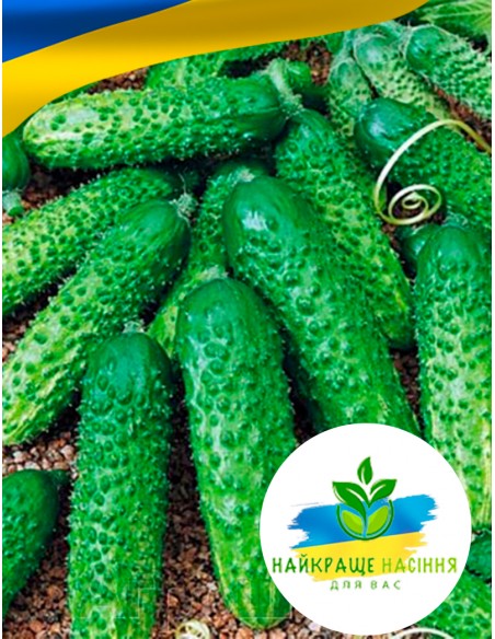 Огірок Наташа F1
