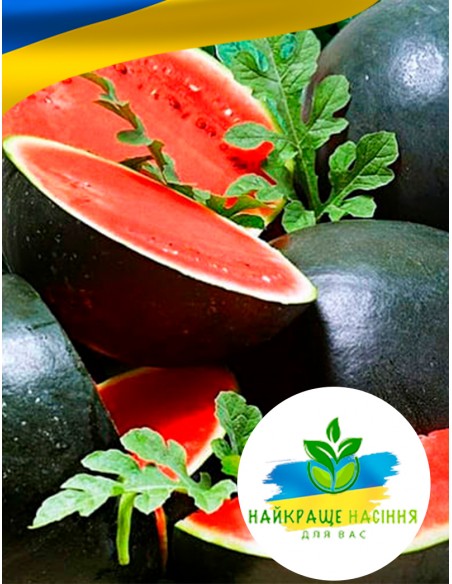 Кавун Шуга Бейбі (Цукровий малюк)