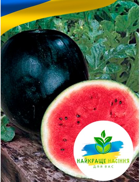 Кавун Шуга Бейбі (Цукровий малюк)