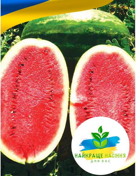 Кавун Нельсон F1 ранній