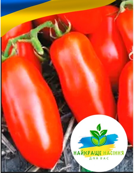 Томат Кібіц