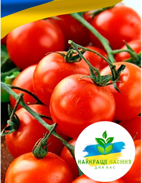 Томат Солероссо F1