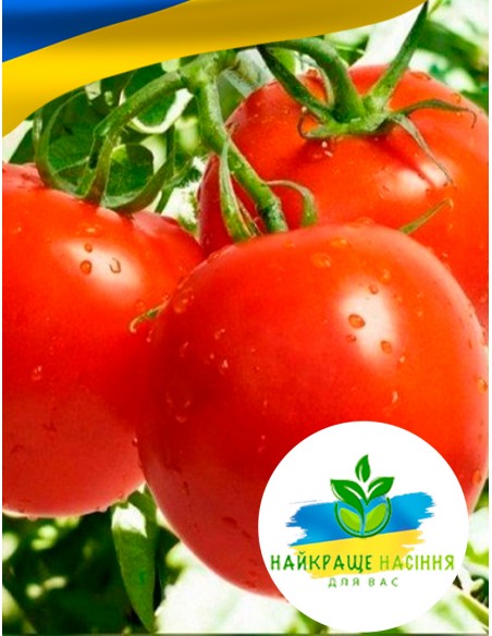 Томат Солероссо F1