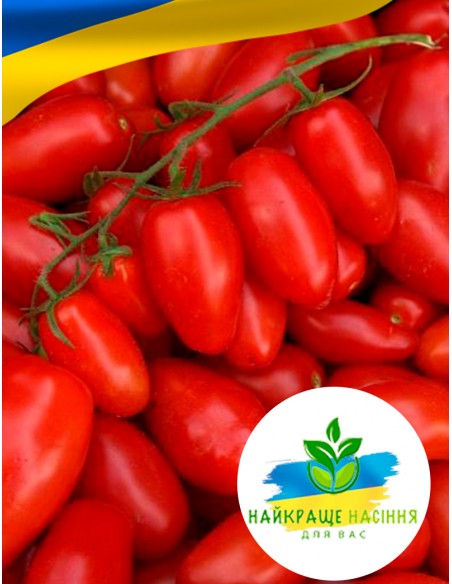 Томат Дамські пальчики