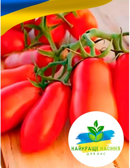 Томат Дамські пальчики