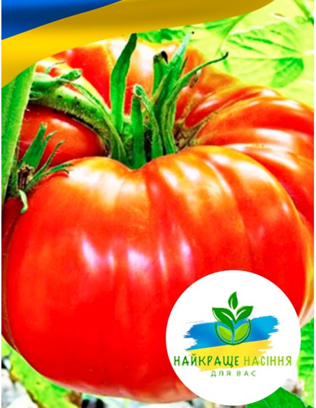 Томат Шапка Мономаха