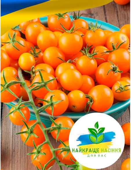 Томат Чері золотий балконний