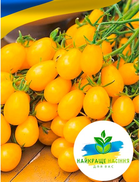 Томат Чері золотий балконний