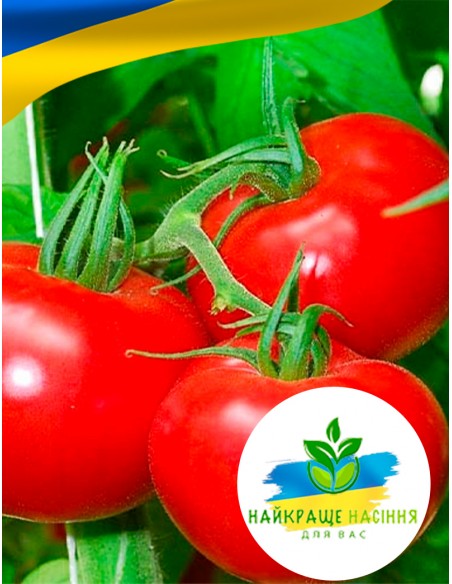 Томат Видимо-Невидимо салатний