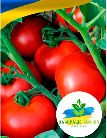 Томат Видимо-Невидимо салатний