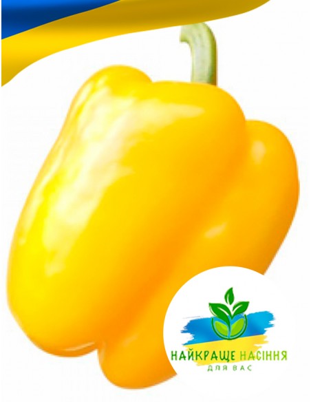 Перець Асті