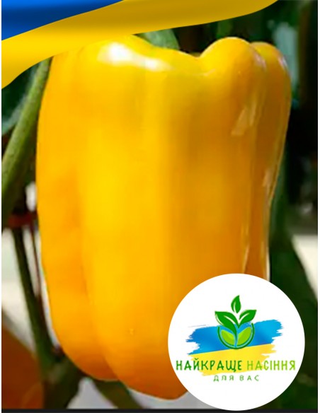 Перець Асті