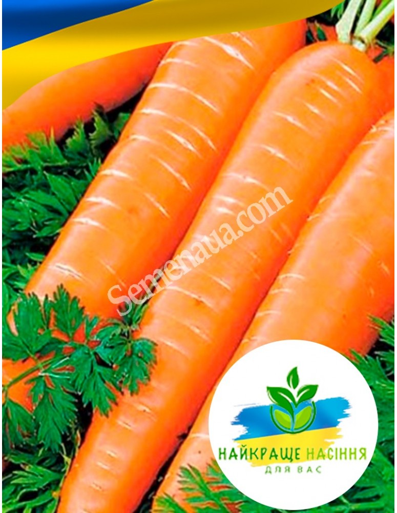 Морква Карамелька