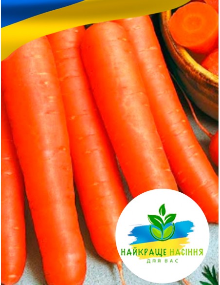 Морква Перфекція