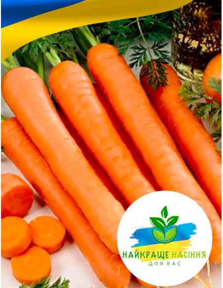 Морква Перфекція