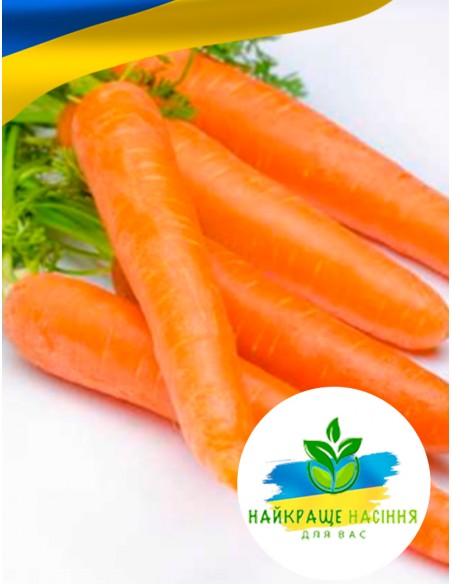 Морква Перфекція