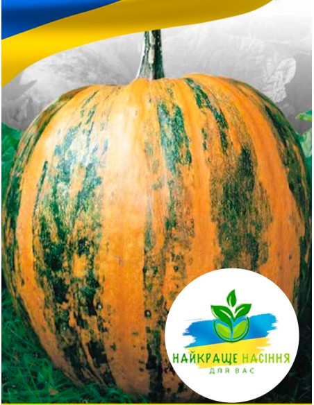 Гарбуз Український багатоплідний