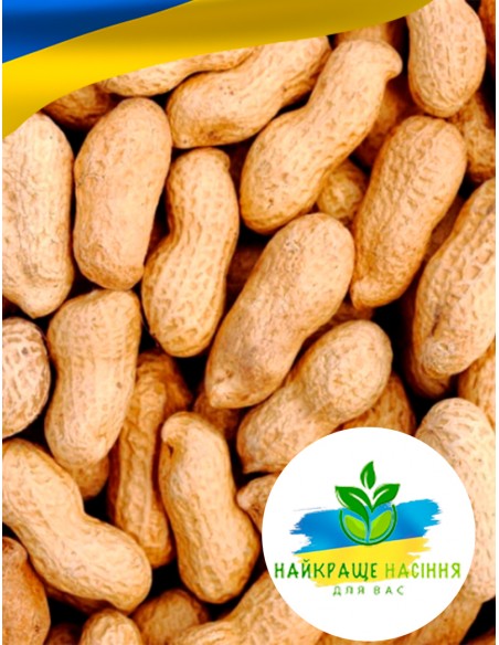 Арахіс земляний горіх