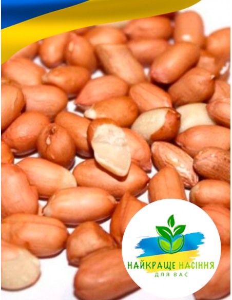 Арахіс земляний горіх