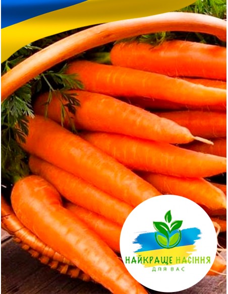 Морква Долянка Польща