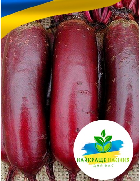 Буряк Опольський Польща