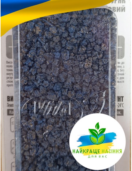 Буряк Опольський Польща