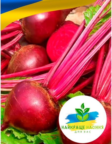 Буряк Бордо Польща