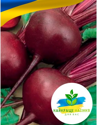 Буряк Мулатка Польща