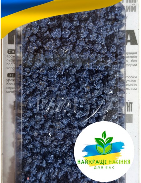 Буряк Мулатка Польща